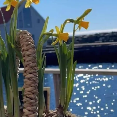 Stongsvingen 31. Eksklusiv Fritidsbolig Med Brygge